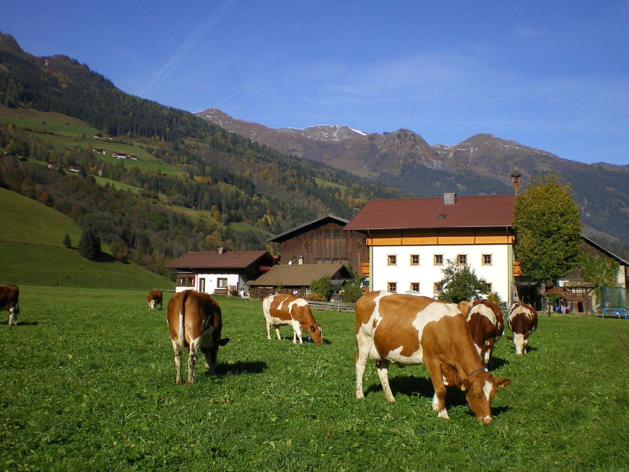 Stubnerbauer Villa Bad Hofgastein Exterior photo